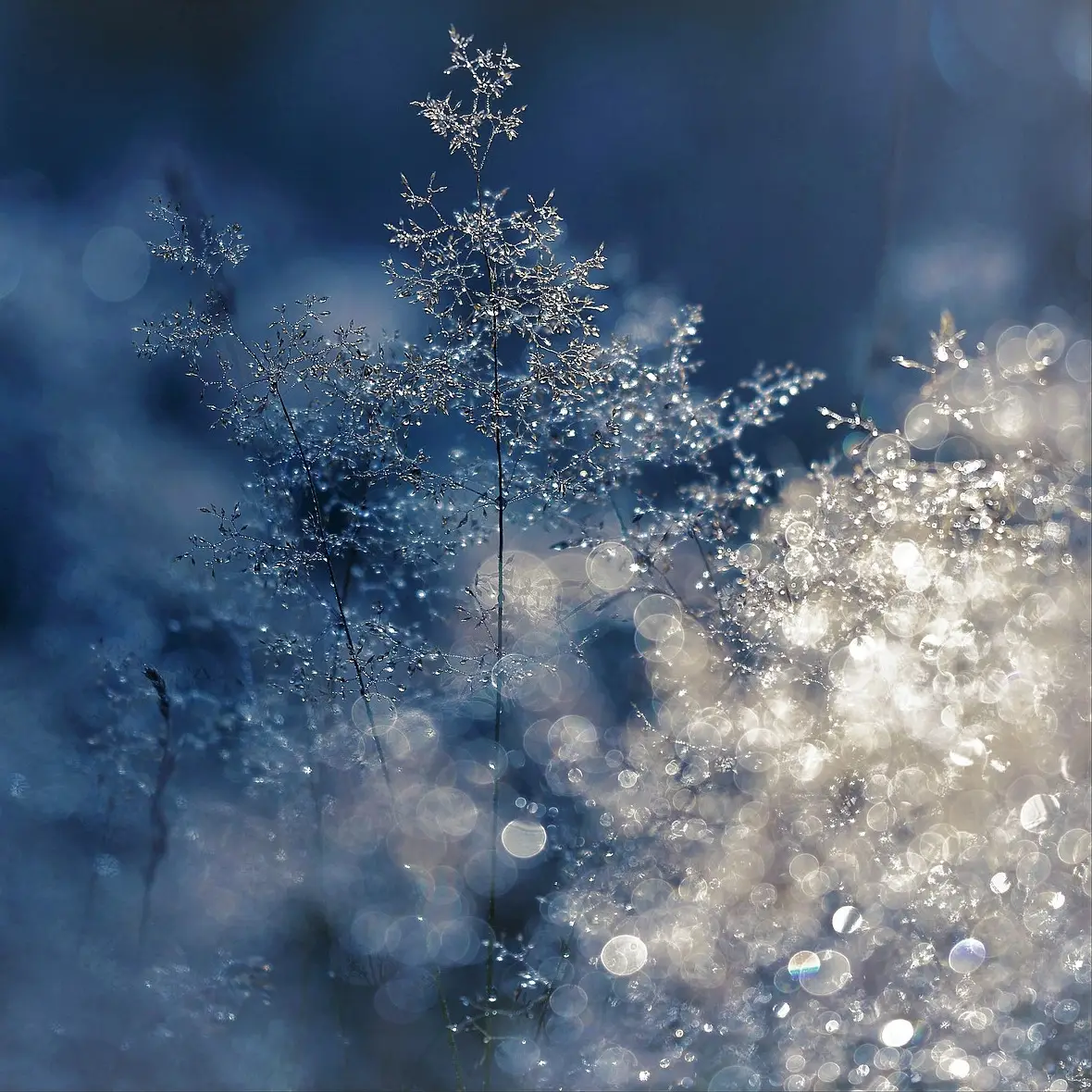 ERMÄCHTIGUNG – Bild 5